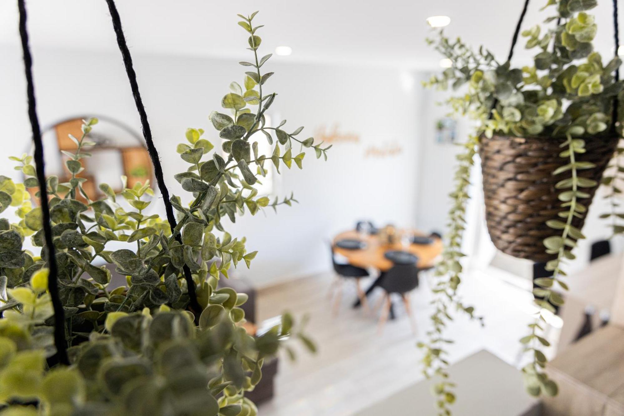 Av Curacao - Centrally Located Spacious Apartment Willemstad Kültér fotó